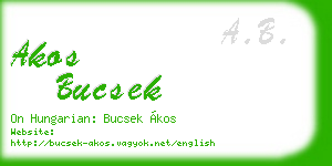 akos bucsek business card
